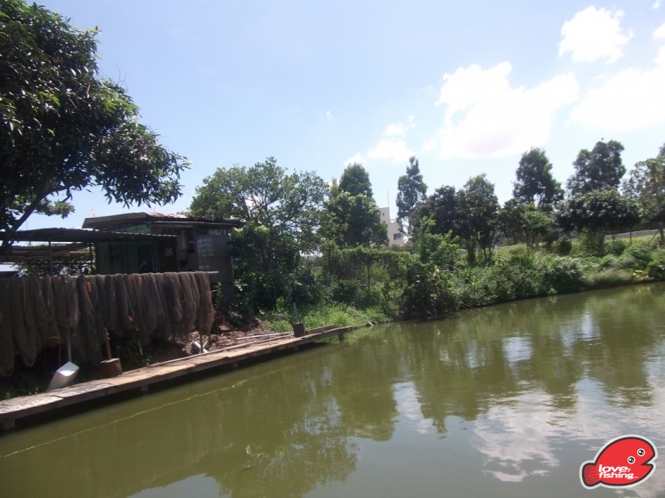 DSCF9154.JPG