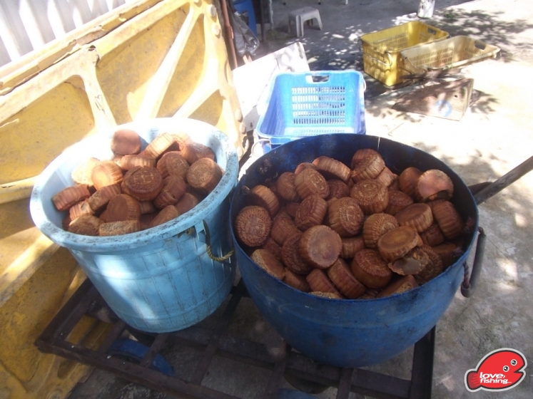 DSCF9180.JPG