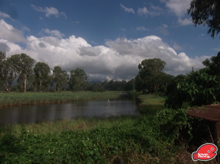 DSCF9221.JPG