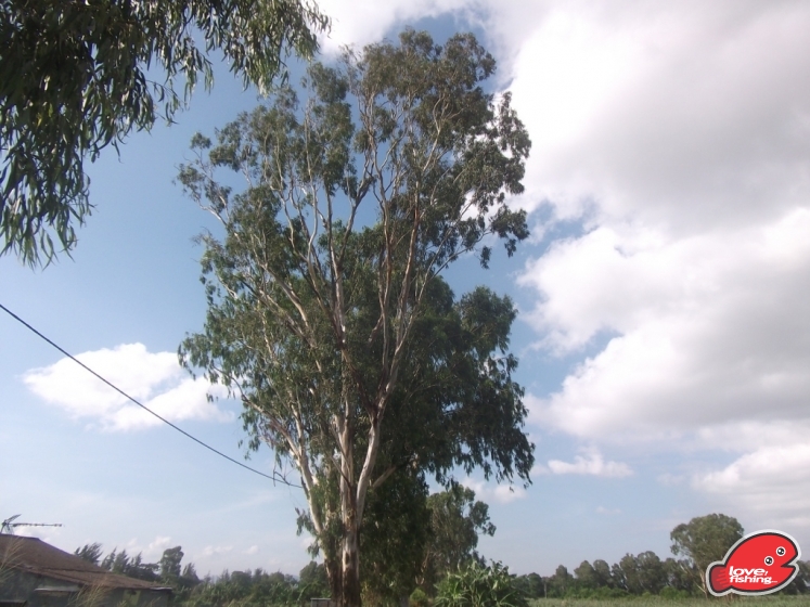 DSCF9228.JPG