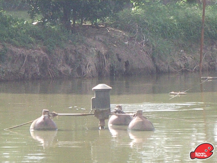 DSCF9230.JPG
