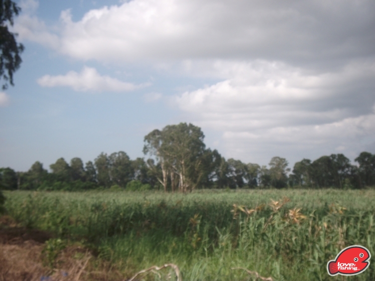 DSCF9232.JPG