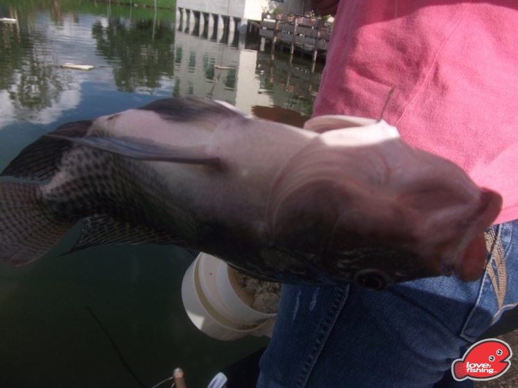 DSCF9248.JPG