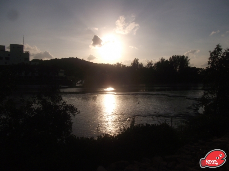 DSCF9276.JPG