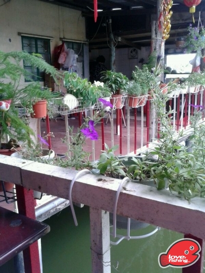 IMG-20130628-WA0009.jpg
