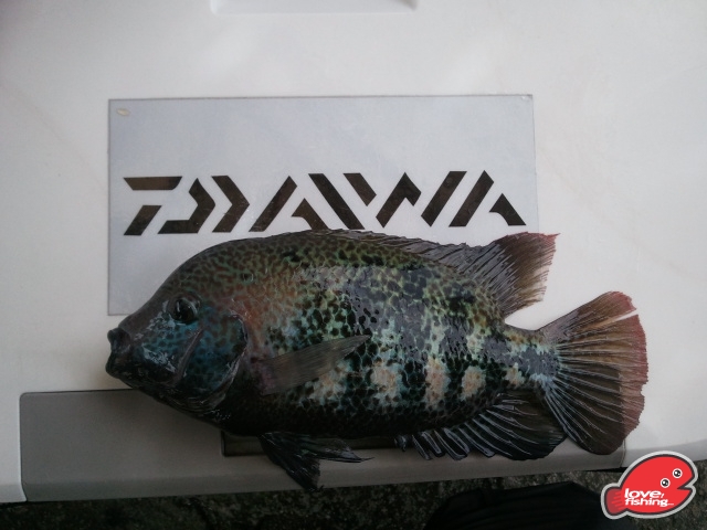 2013-07-01 12.55.56.jpg