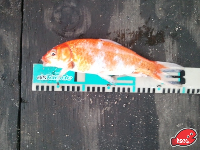 2013-07-01 17.51.43.jpg