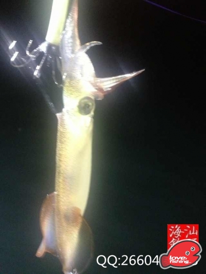 IMG_1992_副本.jpg