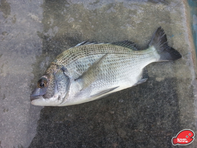 20130711_165839.jpg