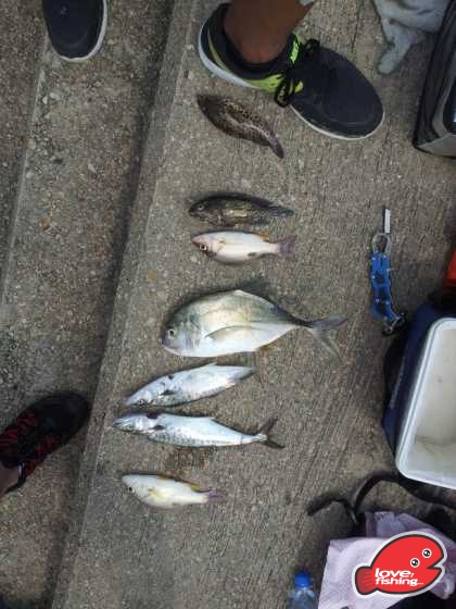 IMG-20130712-WA0011.jpg