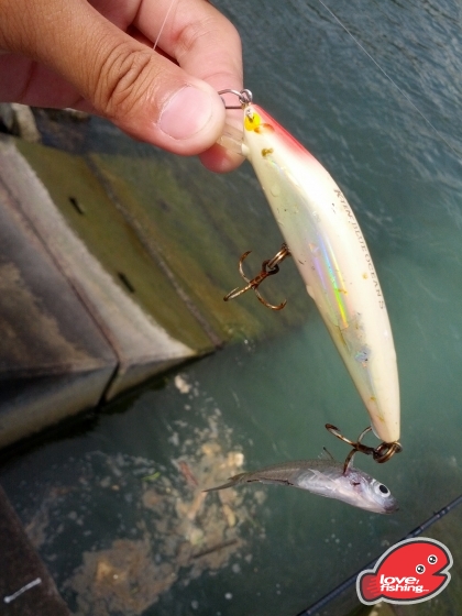 IMG_20130604_145442.jpg