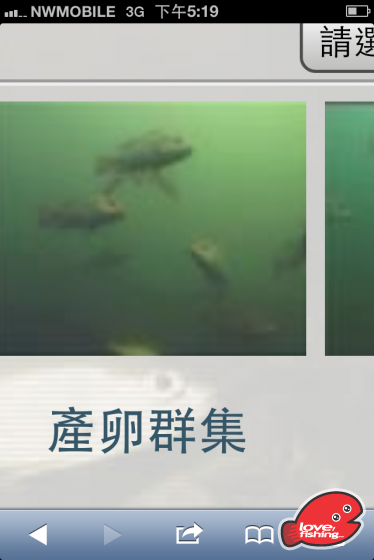 照片 1159.png