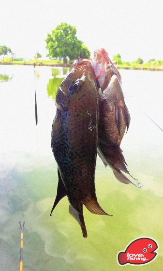 2013-07-21 14.51.08.jpg