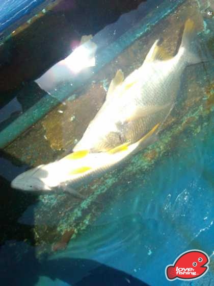 IMG_20130728_133325.jpg