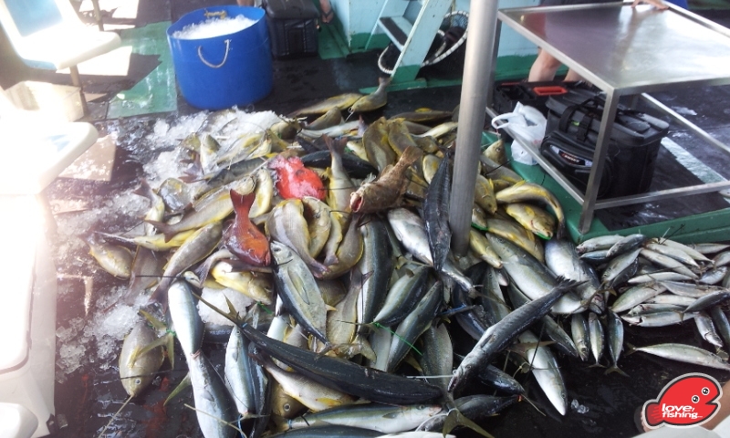 20130811_134634.jpg