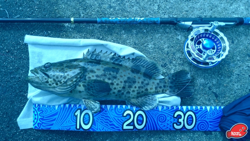 P_20130826_155940.jpg