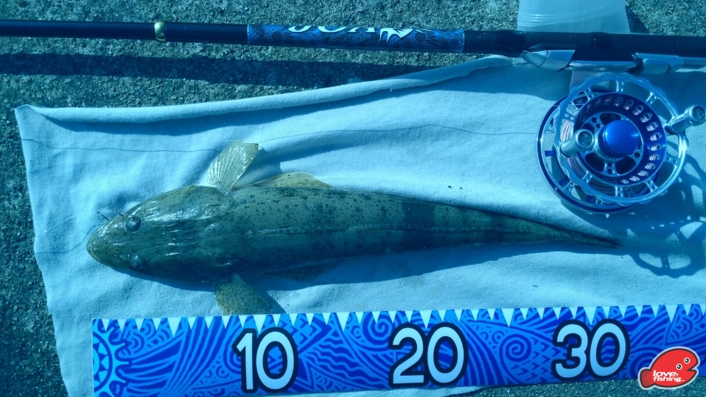 P_20130826_161343_1.jpg