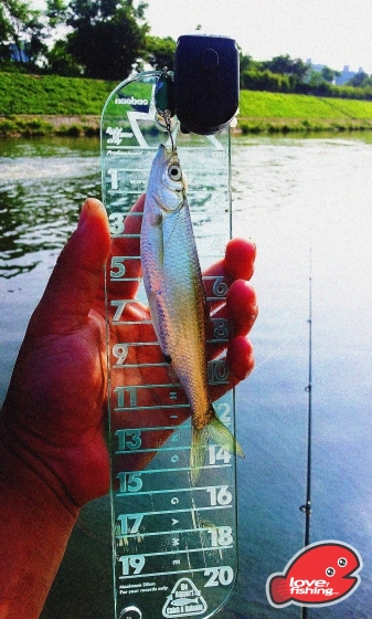 2013-09-08 15.47.29.jpg