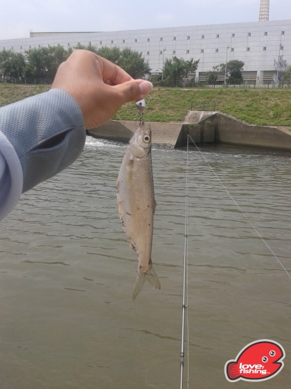 2013-08-29 11.18.08.jpg