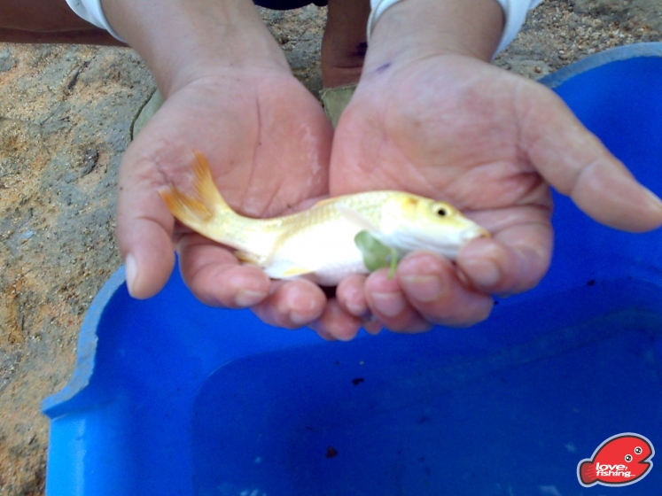 201309152408.jpg