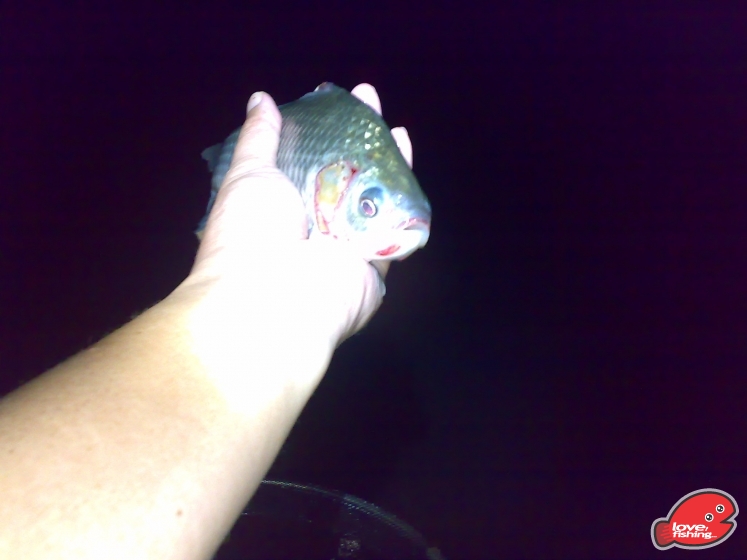 201309142393.jpg