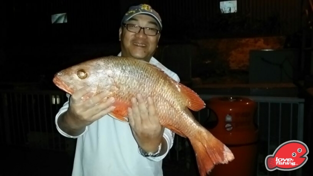 IMG-20131007-WA0049.jpg