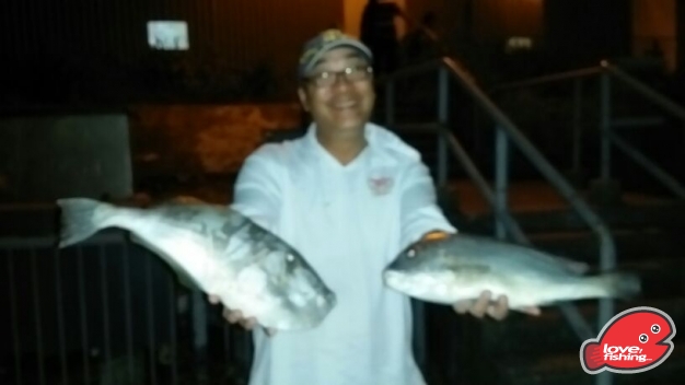 IMG-20131007-WA0055.jpg