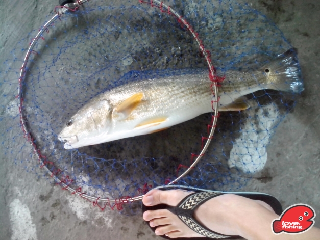 IMG_20131020_124440.jpg