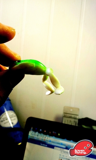 2013-10-26 08.59.24.jpg