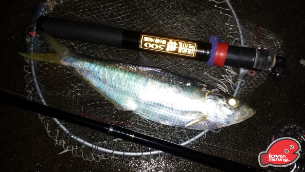 2013-10-20 01.40.29s.jpg