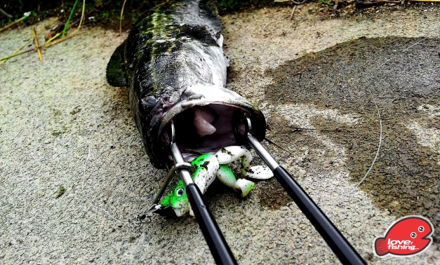 2013-11-03 15.45.20.jpg