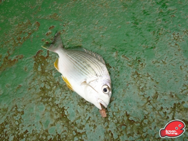 P1000872.JPG