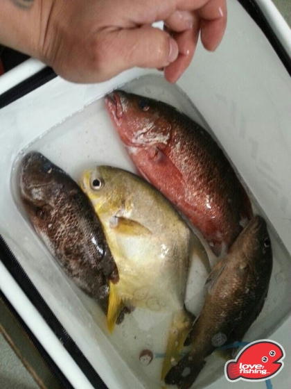 IMG-20131126-WA0011.jpg