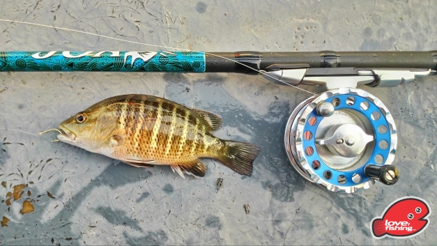 P_20140128_083842.jpg