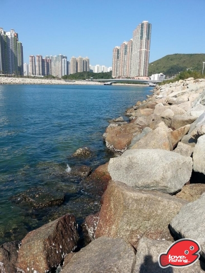 20131201_134719[1].jpg