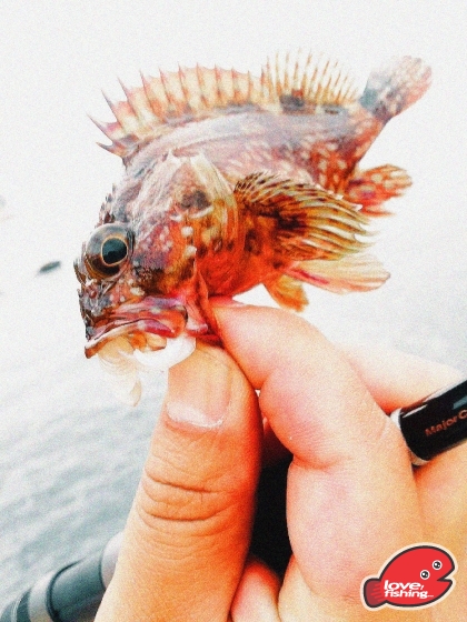 2014-03-01 17.57.18.jpg