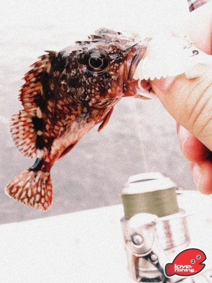 2014-03-01 18.01.56.jpg