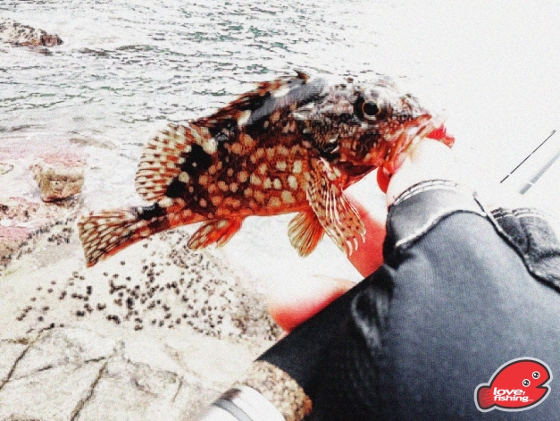 2014-03-02 14.52.13.jpg