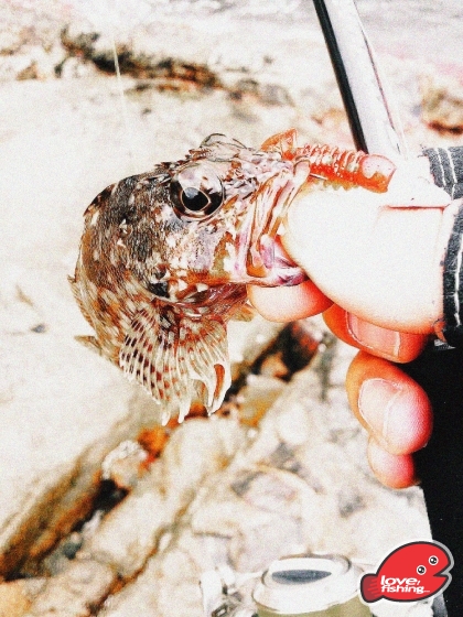 2014-03-02 15.35.04.jpg