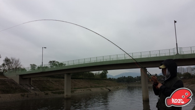 20140309_124741.jpg