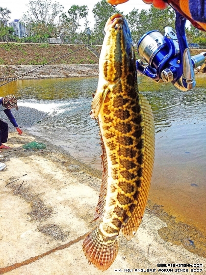 2014-03-23 11.22.31.jpg