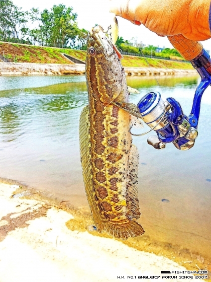 2014-03-23 11.29.41.jpg