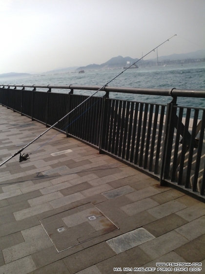 IMG_20140326_153609.jpg