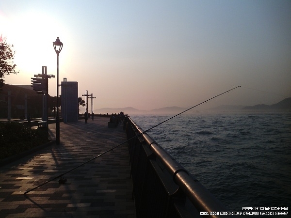 IMG_20140326_174101.jpg