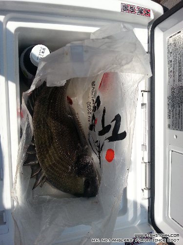 20140327_134948.jpg
