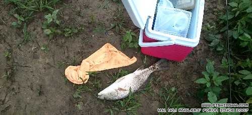 IMG_20140328_190725.JPG