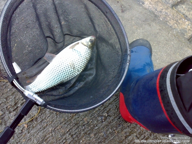 201404063405.jpg