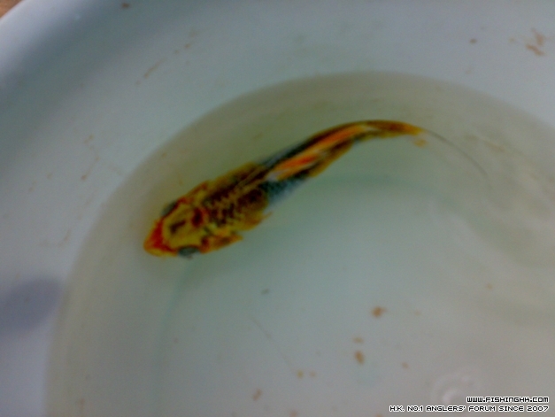 201404123429.jpg