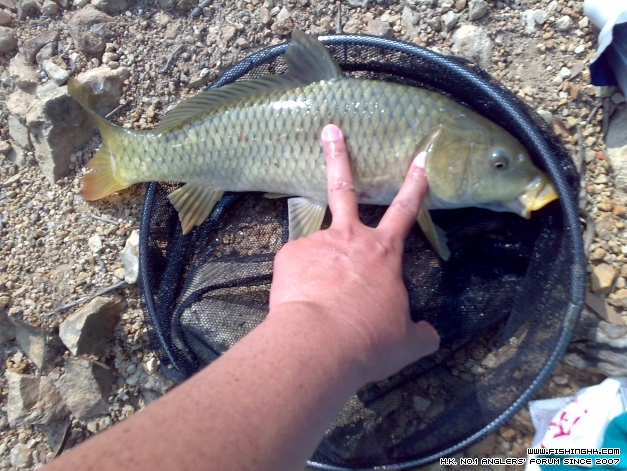 201404123433.jpg