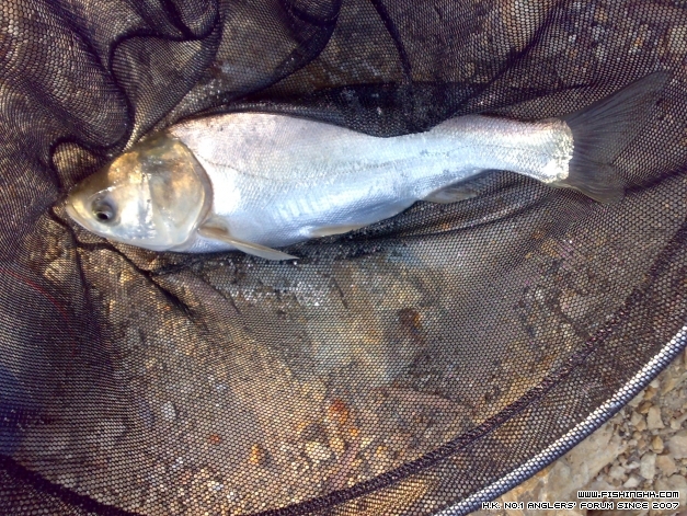 201404123437.jpg